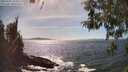 ./images/koeye/fitz-hugh/20260425/fitz-hugh20260425_155001M.jpg