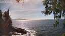 ./images/koeye/fitz-hugh/20260425/fitz-hugh20260425_155501M.jpg