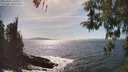 ./images/koeye/fitz-hugh/20260425/fitz-hugh20260425_161001M.jpg