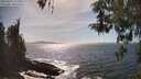 ./images/koeye/fitz-hugh/20260425/fitz-hugh20260425_161501M.jpg