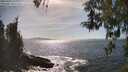 ./images/koeye/fitz-hugh/20260425/fitz-hugh20260425_162001M.jpg
