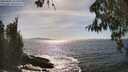 ./images/koeye/fitz-hugh/20260425/fitz-hugh20260425_162501M.jpg