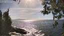 ./images/koeye/fitz-hugh/20260425/fitz-hugh20260425_163001M.jpg