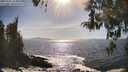 ./images/koeye/fitz-hugh/20260425/fitz-hugh20260425_165001M.jpg