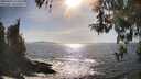 ./images/koeye/fitz-hugh/20260425/fitz-hugh20260425_170501M.jpg