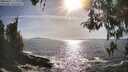 ./images/koeye/fitz-hugh/20260425/fitz-hugh20260425_173001M.jpg