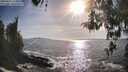 ./images/koeye/fitz-hugh/20260425/fitz-hugh20260425_175001M.jpg