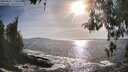 ./images/koeye/fitz-hugh/20260425/fitz-hugh20260425_175501M.jpg