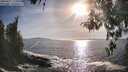 ./images/koeye/fitz-hugh/20260425/fitz-hugh20260425_180001M.jpg