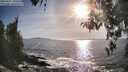 ./images/koeye/fitz-hugh/20260425/fitz-hugh20260425_180501M.jpg