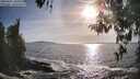 ./images/koeye/fitz-hugh/20260425/fitz-hugh20260425_181001M.jpg