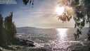 ./images/koeye/fitz-hugh/20260425/fitz-hugh20260425_182501M.jpg
