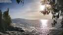 ./images/koeye/fitz-hugh/20260425/fitz-hugh20260425_183001M.jpg