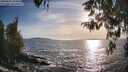 ./images/koeye/fitz-hugh/20260425/fitz-hugh20260425_184501M.jpg
