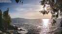 ./images/koeye/fitz-hugh/20260425/fitz-hugh20260425_185001M.jpg