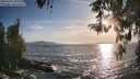 ./images/koeye/fitz-hugh/20260425/fitz-hugh20260425_190001M.jpg