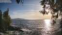 ./images/koeye/fitz-hugh/20260425/fitz-hugh20260425_190501M.jpg