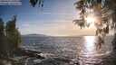 ./images/koeye/fitz-hugh/20260425/fitz-hugh20260425_191001M.jpg
