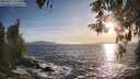 ./images/koeye/fitz-hugh/20260425/fitz-hugh20260425_191501M.jpg