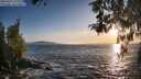 ./images/koeye/fitz-hugh/20260425/fitz-hugh20260425_194001M.jpg