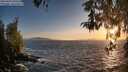 ./images/koeye/fitz-hugh/20260425/fitz-hugh20260425_200502M.jpg