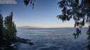 ./images/koeye/fitz-hugh/20260426/fitz-hugh20260426_073501M.jpg