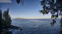 ./images/koeye/fitz-hugh/20260426/fitz-hugh20260426_075002M.jpg