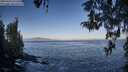 ./images/koeye/fitz-hugh/20260426/fitz-hugh20260426_075501M.jpg