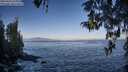 ./images/koeye/fitz-hugh/20260426/fitz-hugh20260426_080002M.jpg