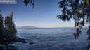 ./images/koeye/fitz-hugh/20260426/fitz-hugh20260426_081001M.jpg