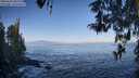 ./images/koeye/fitz-hugh/20260426/fitz-hugh20260426_082002M.jpg