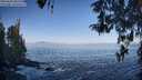 ./images/koeye/fitz-hugh/20260426/fitz-hugh20260426_082502M.jpg