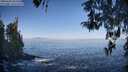 ./images/koeye/fitz-hugh/20260426/fitz-hugh20260426_083501M.jpg