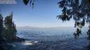 ./images/koeye/fitz-hugh/20260426/fitz-hugh20260426_085002M.jpg