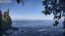 ./images/koeye/fitz-hugh/20260426/fitz-hugh20260426_095501M.jpg