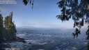 ./images/koeye/fitz-hugh/20260426/fitz-hugh20260426_100501M.jpg