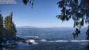 ./images/koeye/fitz-hugh/20260426/fitz-hugh20260426_101502M.jpg