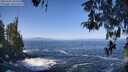 ./images/koeye/fitz-hugh/20260426/fitz-hugh20260426_104501M.jpg