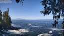 ./images/koeye/fitz-hugh/20260426/fitz-hugh20260426_110001M.jpg