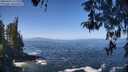 ./images/koeye/fitz-hugh/20260426/fitz-hugh20260426_112002M.jpg