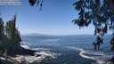 ./images/koeye/fitz-hugh/20260426/fitz-hugh20260426_120501M.jpg