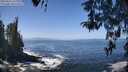 ./images/koeye/fitz-hugh/20260426/fitz-hugh20260426_122002M.jpg
