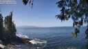 ./images/koeye/fitz-hugh/20260426/fitz-hugh20260426_125502M.jpg