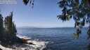 ./images/koeye/fitz-hugh/20260426/fitz-hugh20260426_130501M.jpg