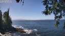 ./images/koeye/fitz-hugh/20260426/fitz-hugh20260426_131501M.jpg