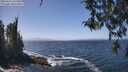 ./images/koeye/fitz-hugh/20260426/fitz-hugh20260426_132501M.jpg