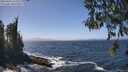 ./images/koeye/fitz-hugh/20260426/fitz-hugh20260426_134001M.jpg