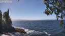./images/koeye/fitz-hugh/20260426/fitz-hugh20260426_134501M.jpg