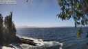 ./images/koeye/fitz-hugh/20260426/fitz-hugh20260426_135001M.jpg