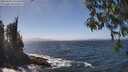 ./images/koeye/fitz-hugh/20260426/fitz-hugh20260426_135501M.jpg